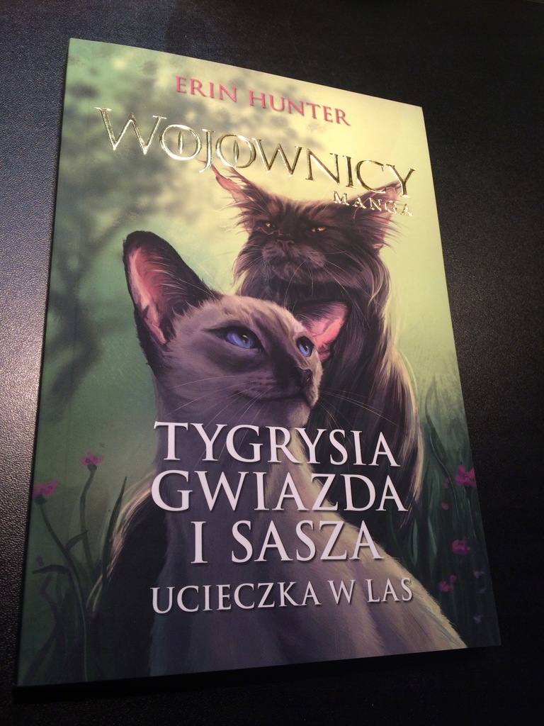 Wojownicy Manga Tygrysia Gwiazda I Sasza MANGA WOJOWNICY TYGRYSIA GWIAZDA I SASZA - 7777542530 - oficjalne