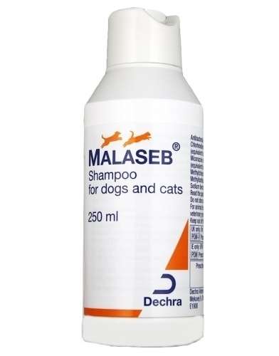 Malaseb szampon dla psow i kotow 250ml
