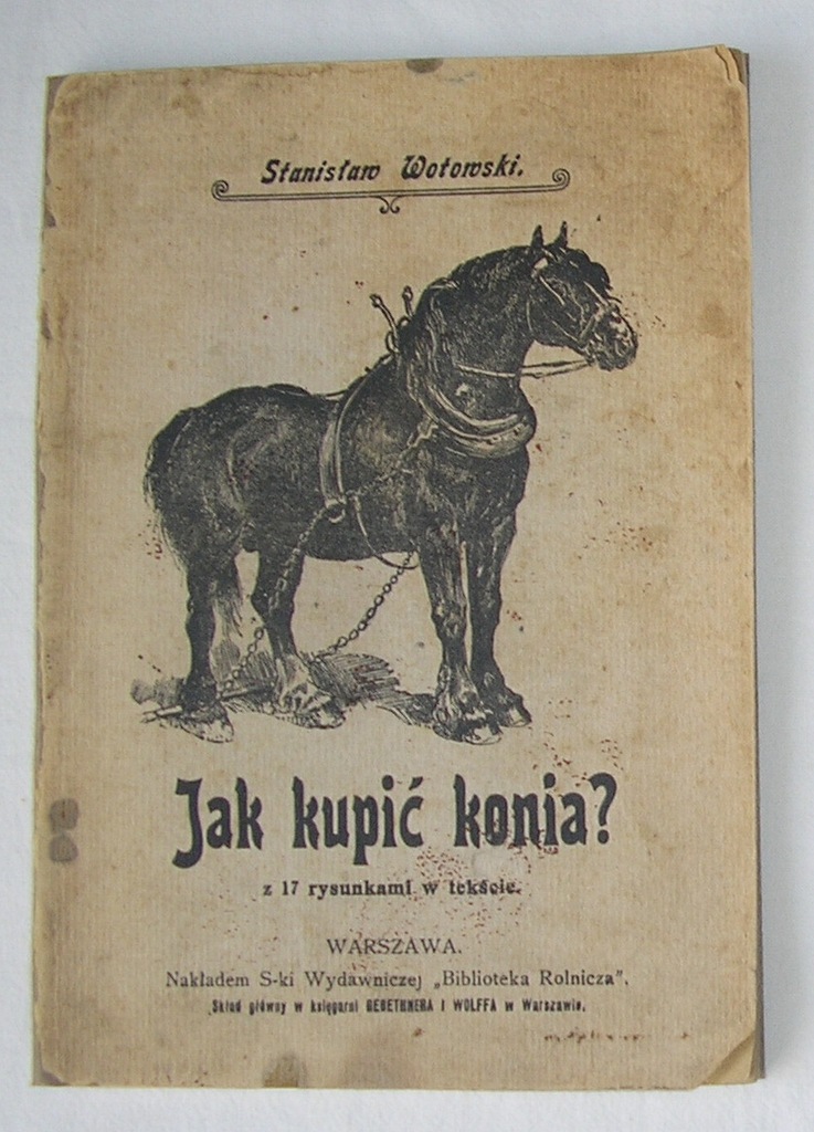 1911 JAK KUPIĆ KONIA ? - KOŃ KONIE