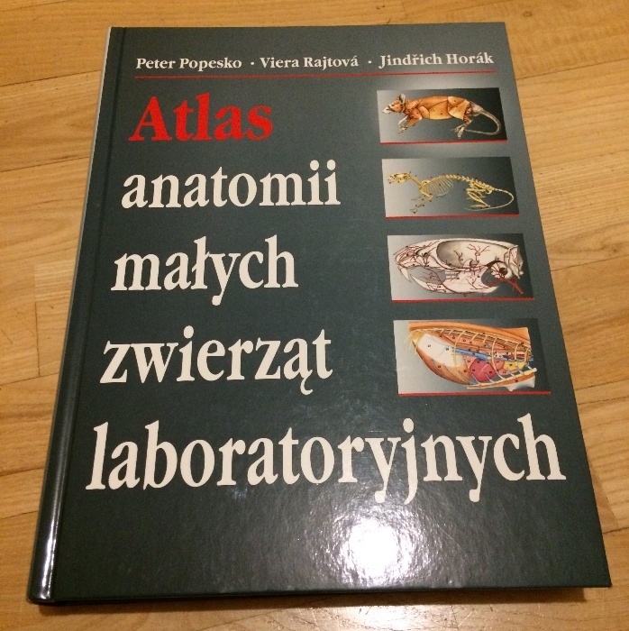 Atlas anatomii małych zwierząt laboratoryjnych