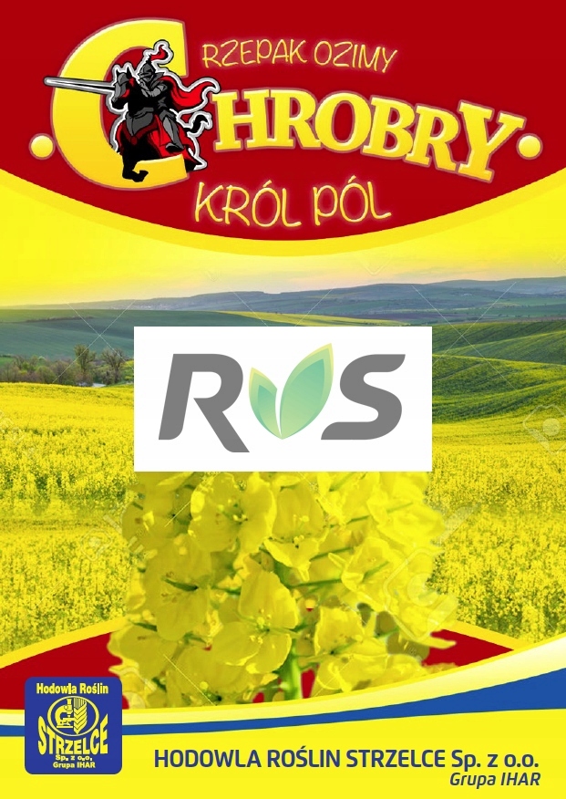 Rzepak ozimy CHROBRY 3ha - nasiona rzepaku NOWOŚĆ
