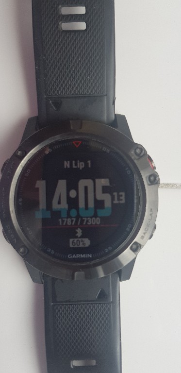 fenix x5