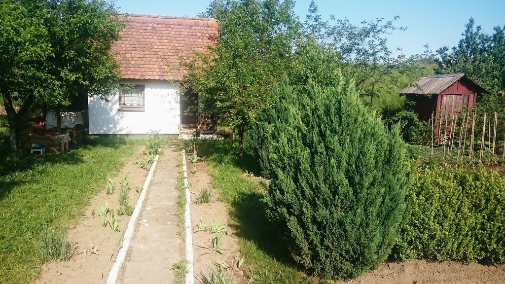 Działka ROD Łęgi Opole 2 ary ogródek domek