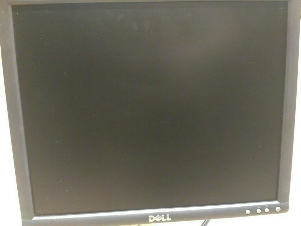Dell,  monitor trwały stary typ  17 cali LCD TST
