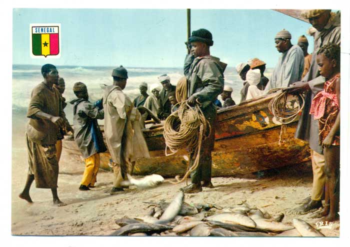 Afryka - Typy afrykańskie Senegal