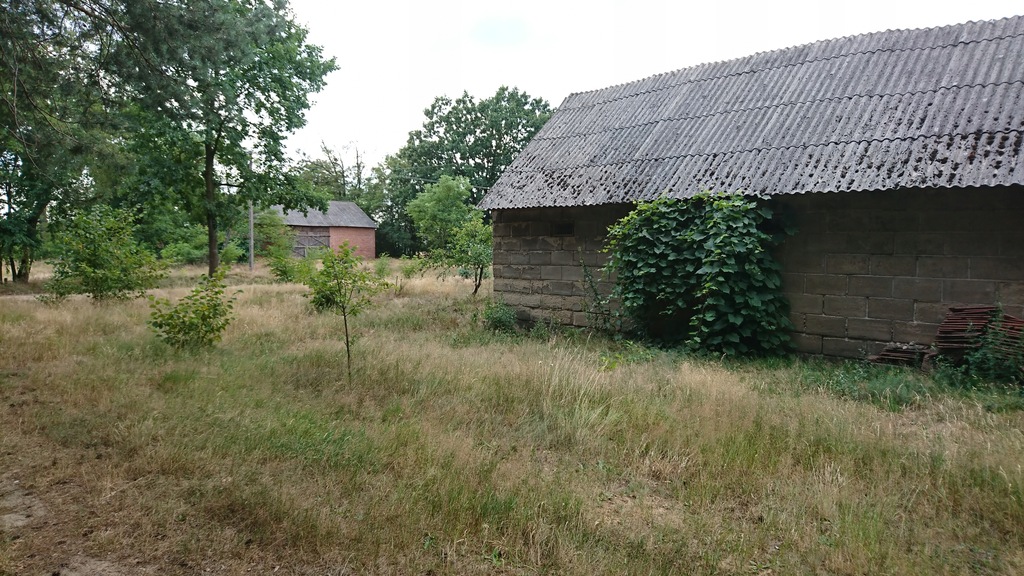 Siedlisko 7450458463 oficjalne archiwum Allegro