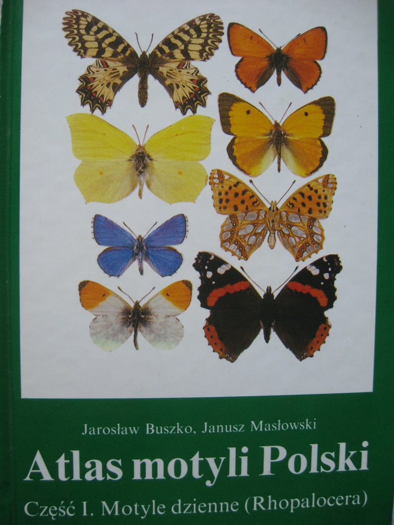 Motyle ATLAS MOTYLI POLSKI dzienne BUSZKO
