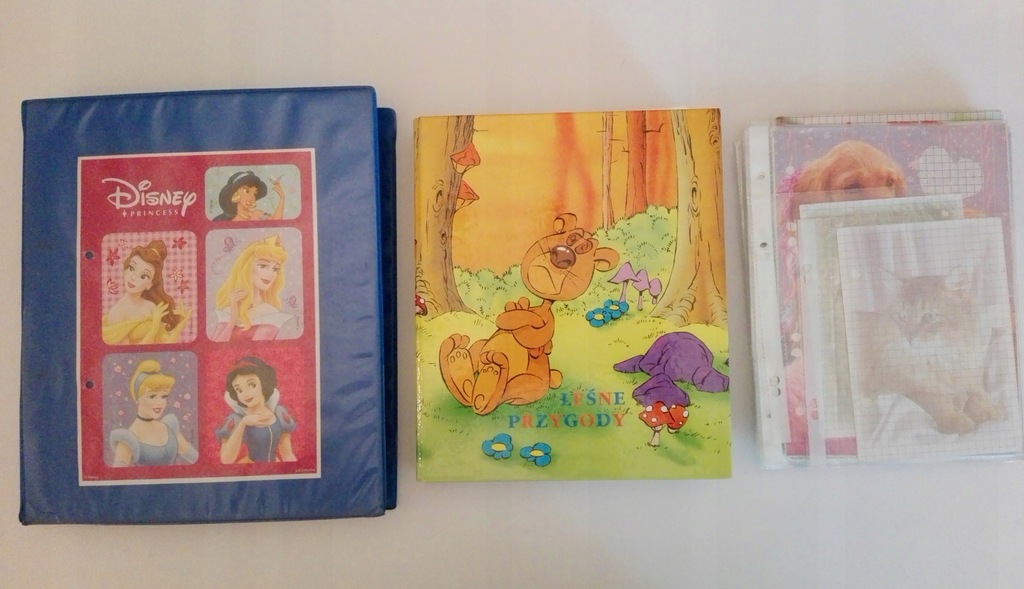 karteczki z segregatorem księżniczki Disney i inne