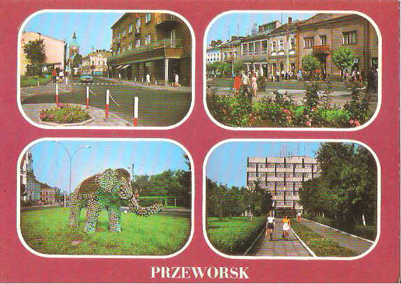 PRZEWORSK --- RYNEK -- SŁOŃ -- RATUSZ --- 1986