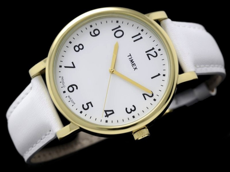 TIMEX T2P170 (zt597a)
