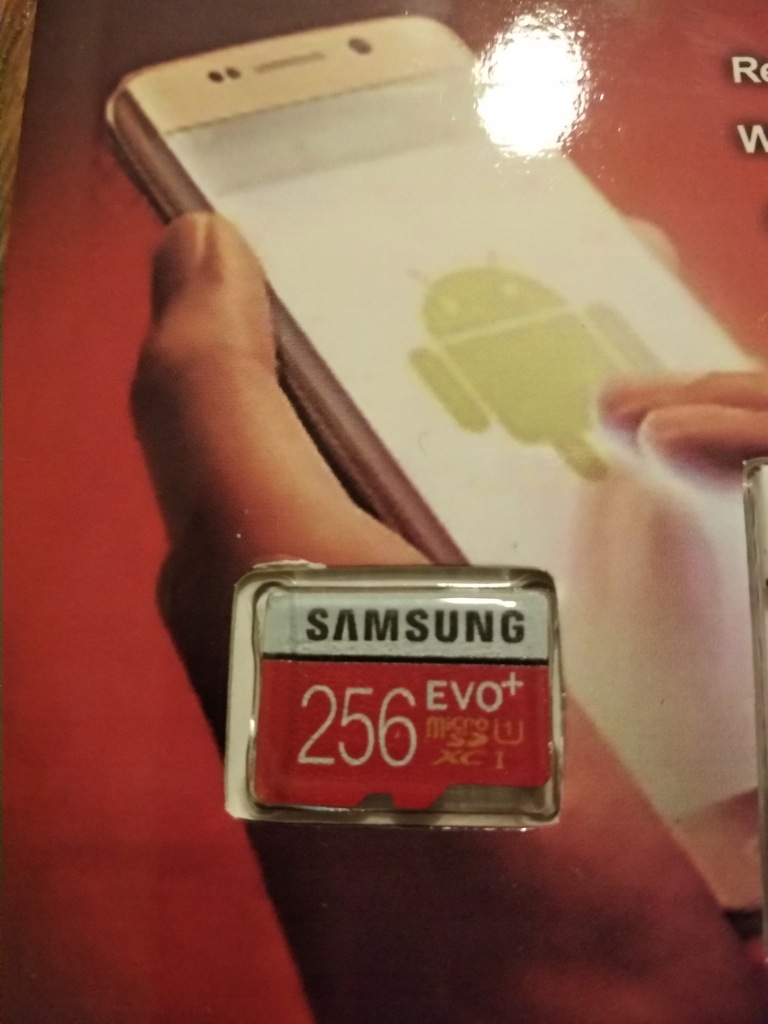 Karta MICRO SD SAMSUNG EVO+ 256GB
