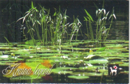 Sulęcin Jezioro Ostrowskie
