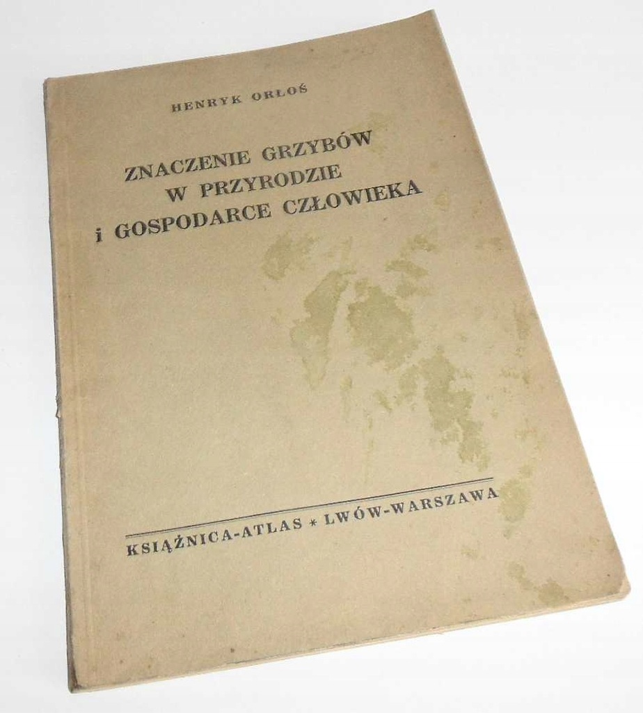 ZNACZENIE GRZYBÓW W PRZYRODZIE I GOSPODARCE Orłoś