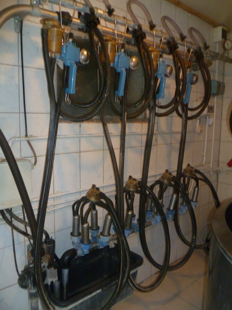 schładzalnik do mleka 1030L dojarka przewodowa - 7148826969 - oficjalne