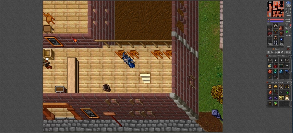 Tibia Hexera 630RP with full Mage, RPG, dom Venore