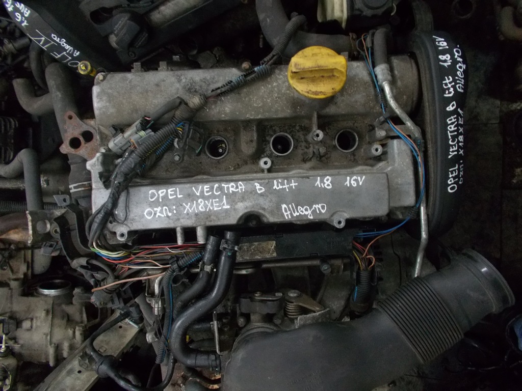 Silnik Opel Vectra B lift 1.8 16V X18XE1 Ostrołeka
