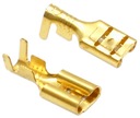 COUPLEUR VISQUEUX F6,3 MM-2,5 ZENSKI KIT 100SZT photo 1 - milautoparts-fr.ukrlive.com