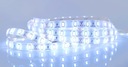 LED pásik 5630 300LED IP65 vodeodolný STUDENÁ 1m Farba svetla studená biela