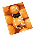 БЛОКНОТ A4 42K CHECK PIGNA FRUTTA FRUITS 0229931Q