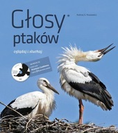 Głosy ptaków Tom 1 + CD Kruszewicz Andrzej G.