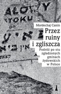 Przez ruiny i zgliszcza. Podróż po stu zgładzonych gminach żydowskich w Pol