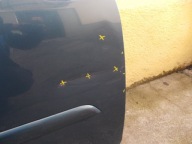 CITROEN C4 PICASSO door front right