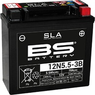 BS Battery BS12