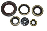 Гетметики двигателя ktm 65 sx 09-16 zimering - фото
