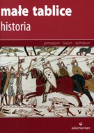 Małe tablice Historia Witold Mizerski