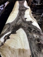 orzech włoski korzeń okleina / fornir