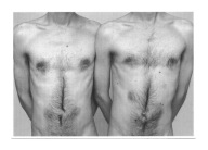 Pocztówka - Dwa bliźniacze męskie torsy ...