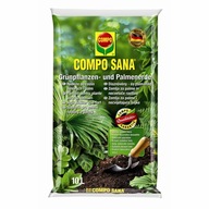 Podłoże Compo sana do roślin zielonych i palm 5L