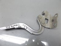 фото thumb №1, Петля капот левый kia picanto ii 13 r