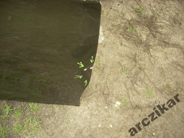 фото thumb №3, Дверь правые передние citroen c4 ii 10-