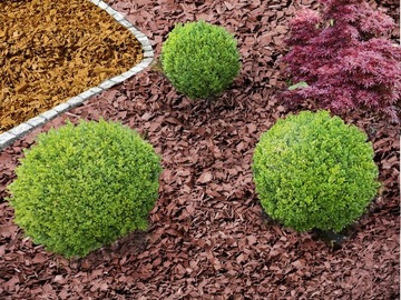 ZRĘBKI DEKORACYJNE DRZEWNE BIOVITA 50 L KOLOR POMARAŃCZOWY