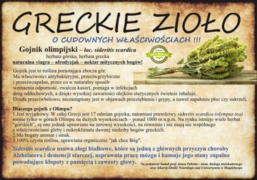 Гойник 35г Кружка + подарочная коробка