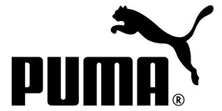 Купальник PUMA -176 goga-sport