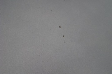 фото thumb №3, Vw passat b6 - капот la7t