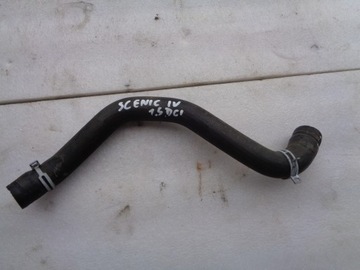 фото thumb №1, Труба шланг шланг воды scenic iv 1.5dci 215018135r