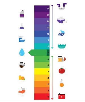 Chemspec Formula 90 Моющее экстракционное ополаскивающее средство 10кг DT5