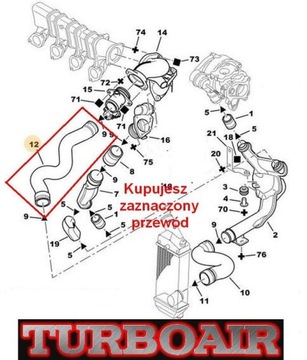 PEUGEOT 307 2,0 HDI 0382W8 RURA WAZ PRZEWOD TURBO INTERCOOLER/A