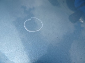 фото thumb №5, Mazda premacy '00 капот кришка двигуна