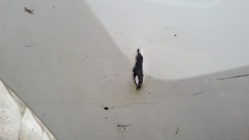 фото thumb №5, Vw sharan ii alhambra 7n 7n0 бампер зад задній pdc