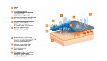 Spodnie męskie Thermo BRUBECK LE11840 Czarne S