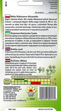 DALIA KAKTUSOWA MIX KOLORÓW 0,5 GR NASION