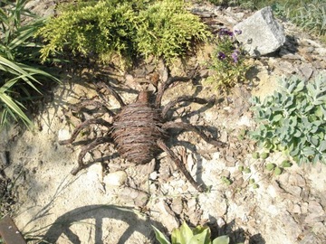 Spider decor to garden, 1 on house, фото
