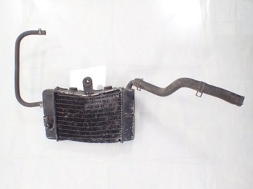 Water radiator [ left] liquids honda xl transalp 600 v, фото