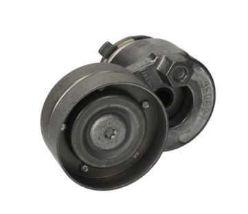 Schaeffler other 534 0142 30 belt tensioner polyclinic, фото