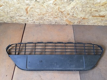 Radiator grille bumpers ford focus 2, фото