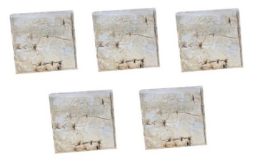 Square з kory brzozowej connector bark 3, 5 centimeters 5 pcs, фото